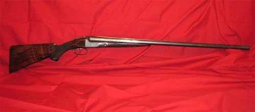 Parker 1895 Shotgun